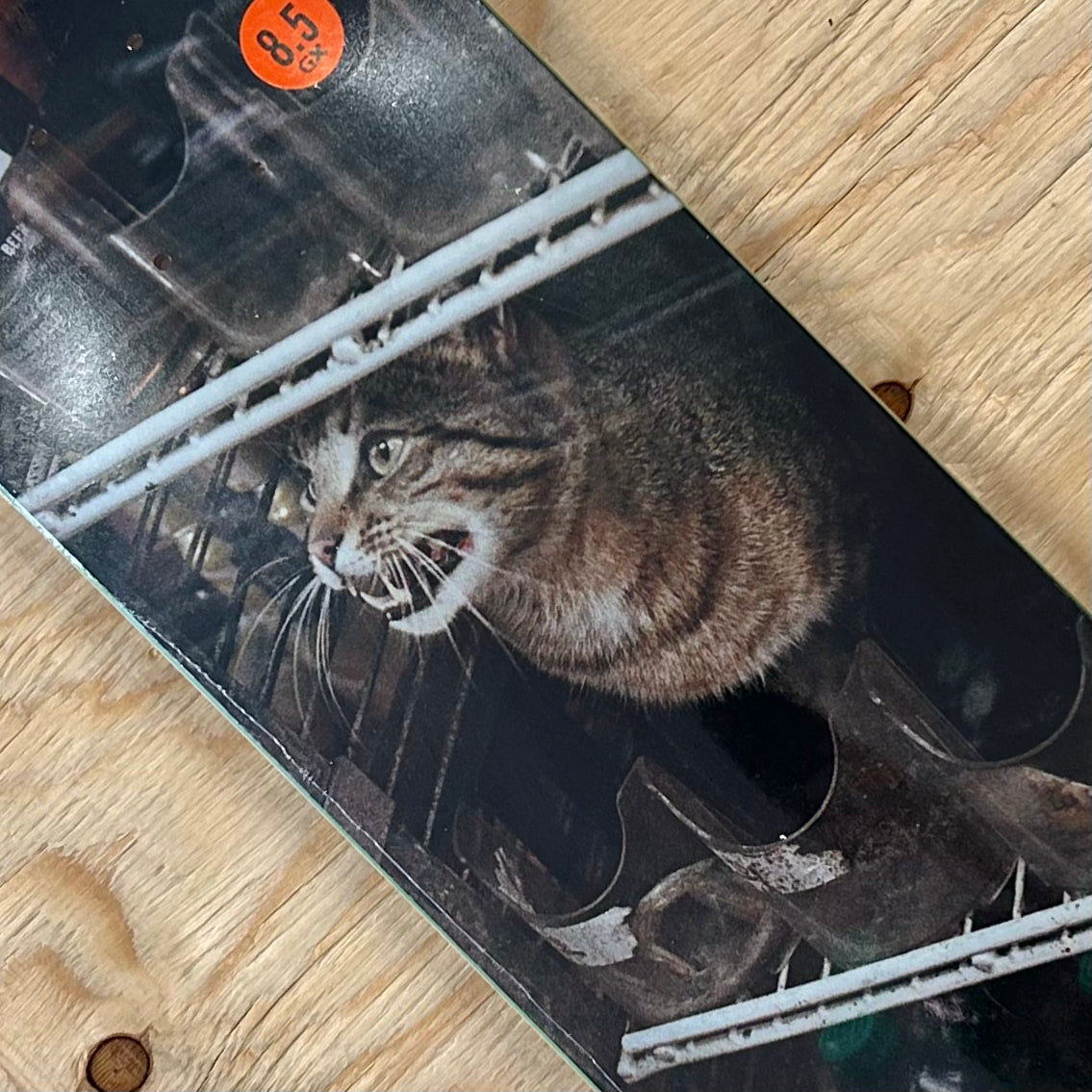 GX1000 - Bodega Cat Deck 8.5"