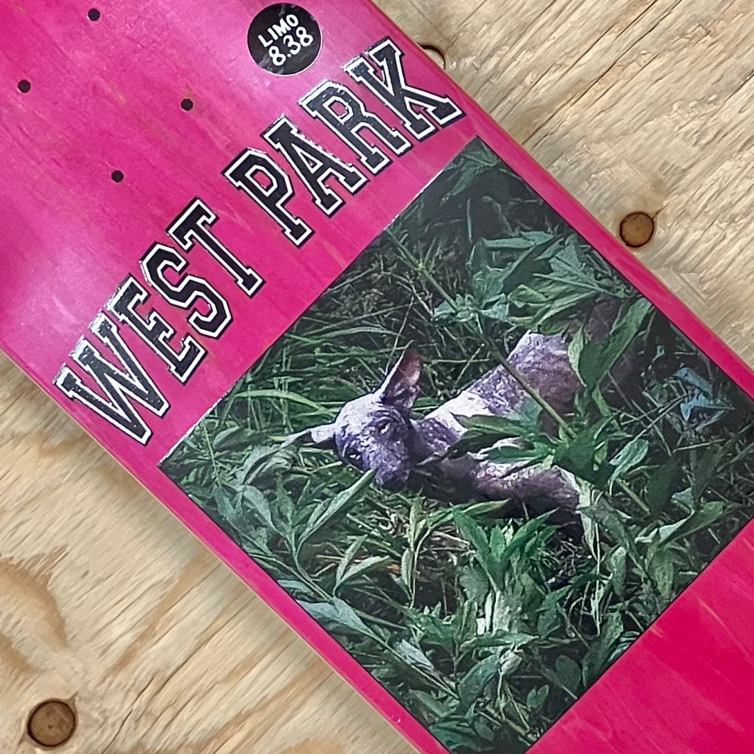 Limosine - Angel Deck 8.38"