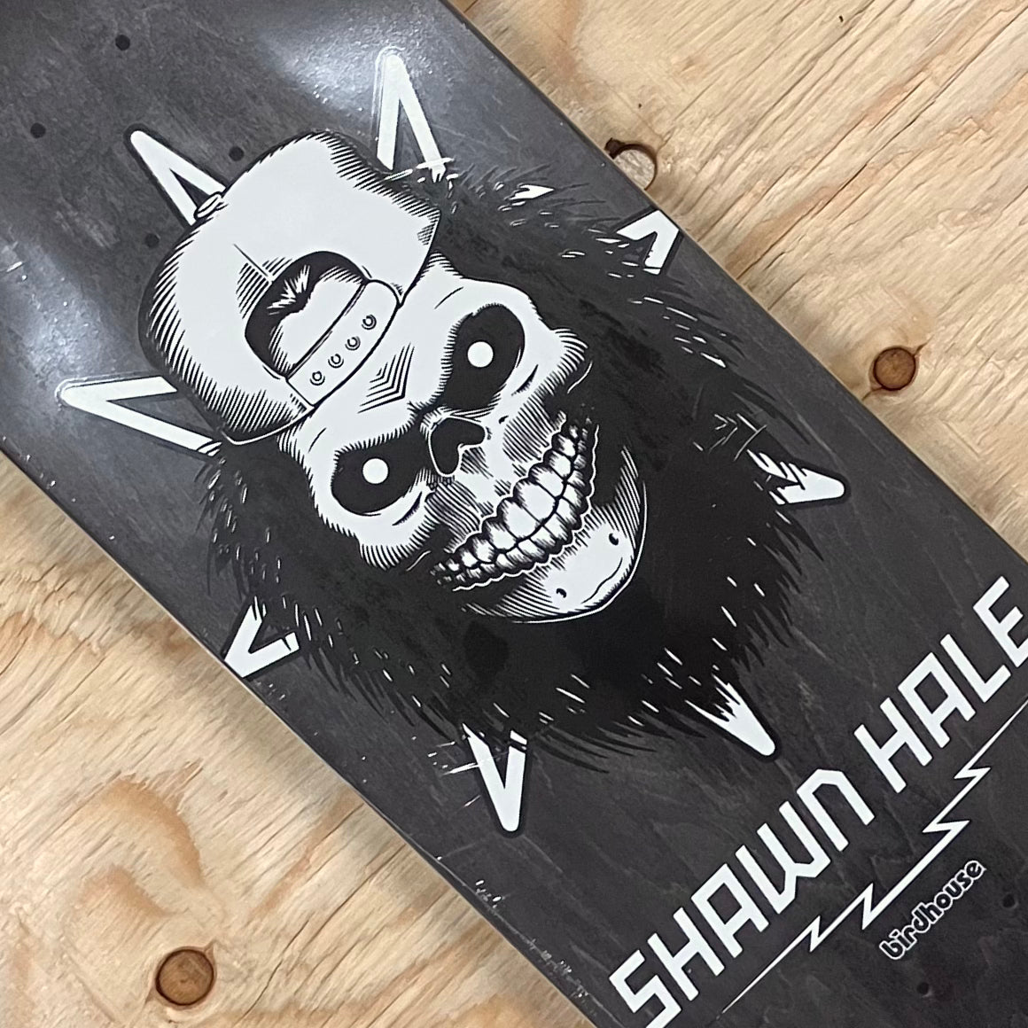 Birdhouse - Hale Skull Deck 8.63"