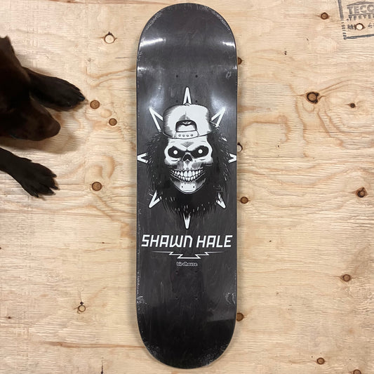 Birdhouse - Hale Skull Deck 8.63"