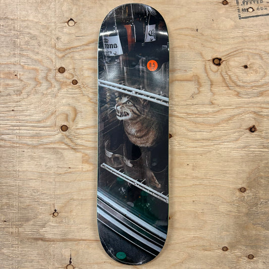 GX1000 - Bodega Cat Deck 8.5"