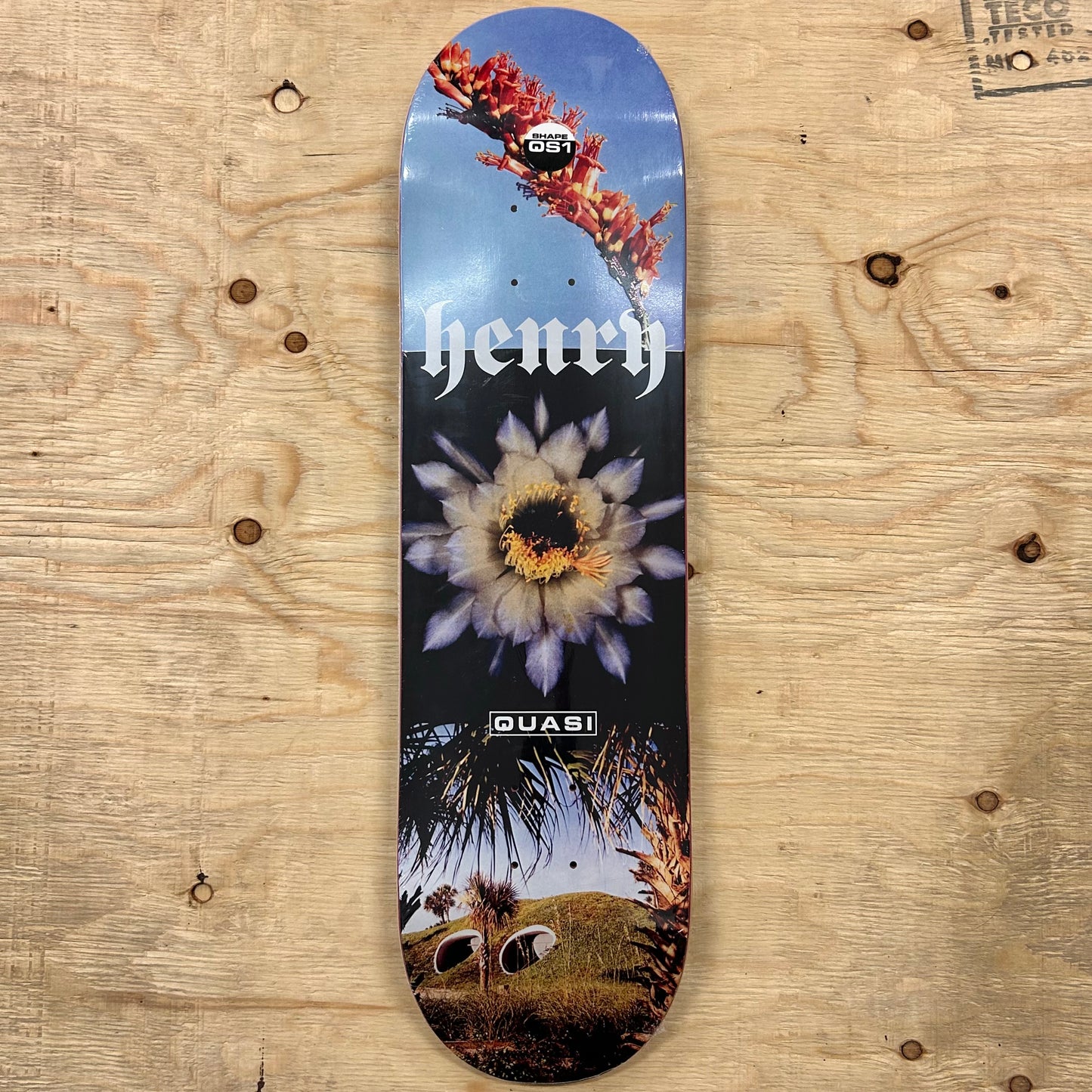 Quasi - Engel Deck 8.375"
