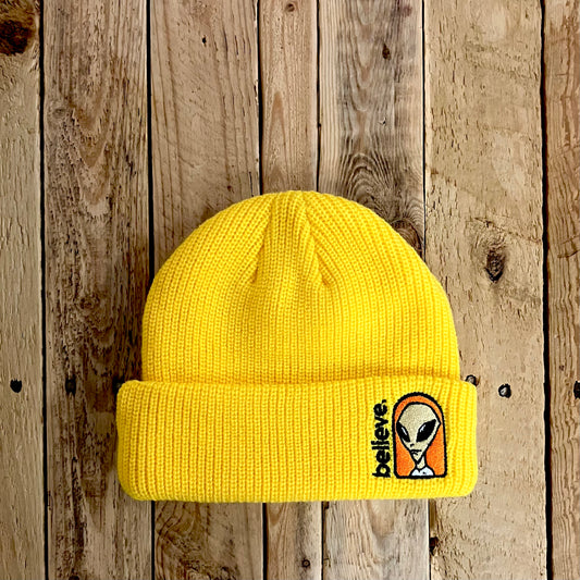 Alien Workshop - Believe Embroidered Beanie