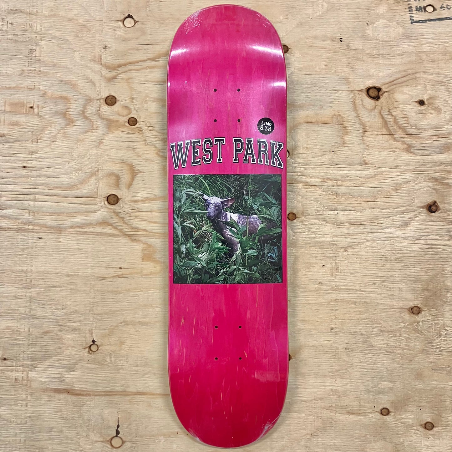 Limosine - Angel Deck 8.38"